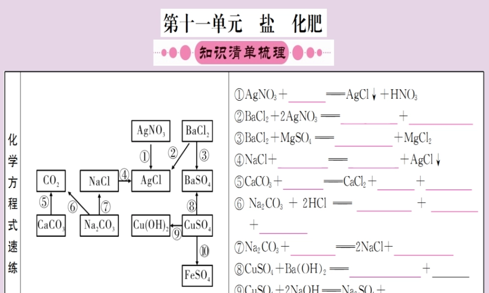 云南省中考化学一轮考点复习 第十一单元 盐、化肥课件