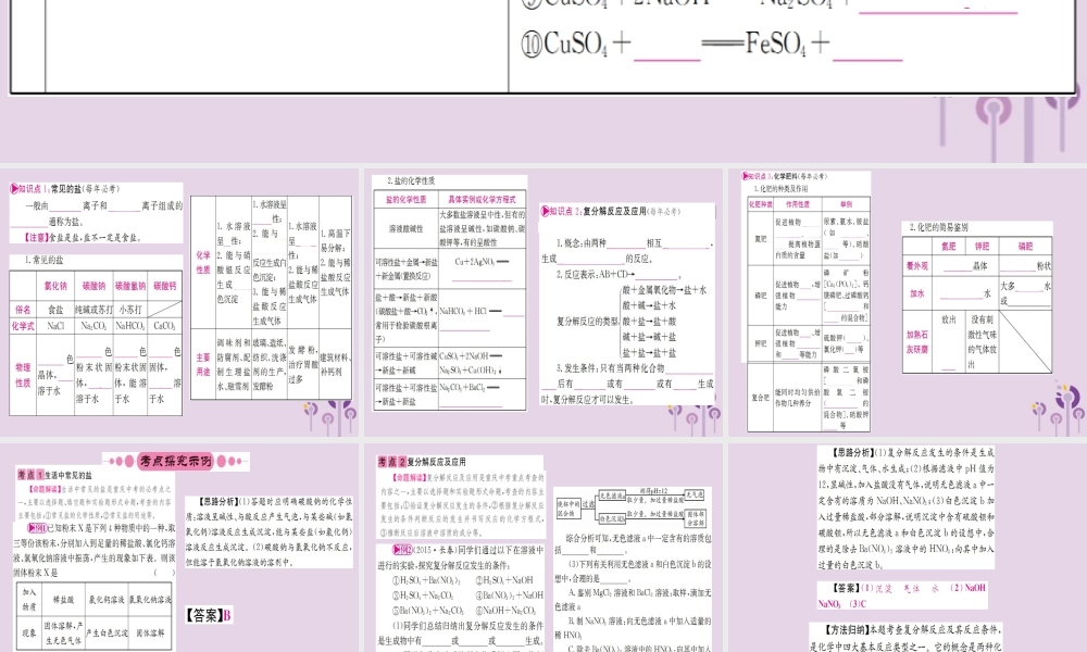 云南省中考化学一轮考点复习 第十一单元 盐、化肥课件