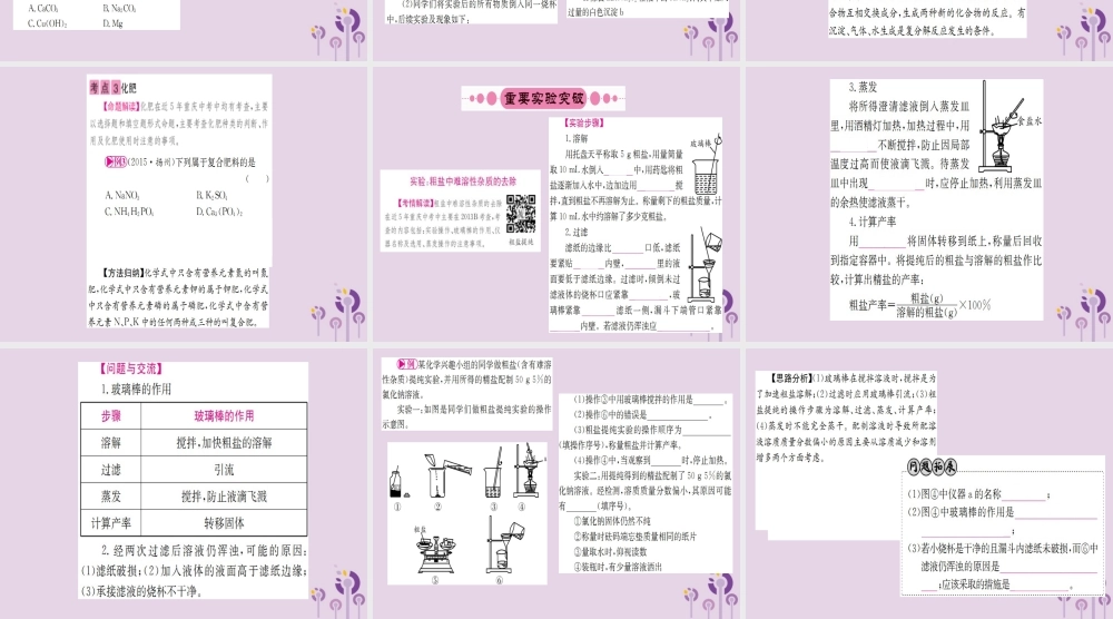 云南省中考化学一轮考点复习 第十一单元 盐、化肥课件