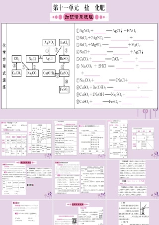 云南省中考化学一轮考点复习 第十一单元 盐、化肥课件