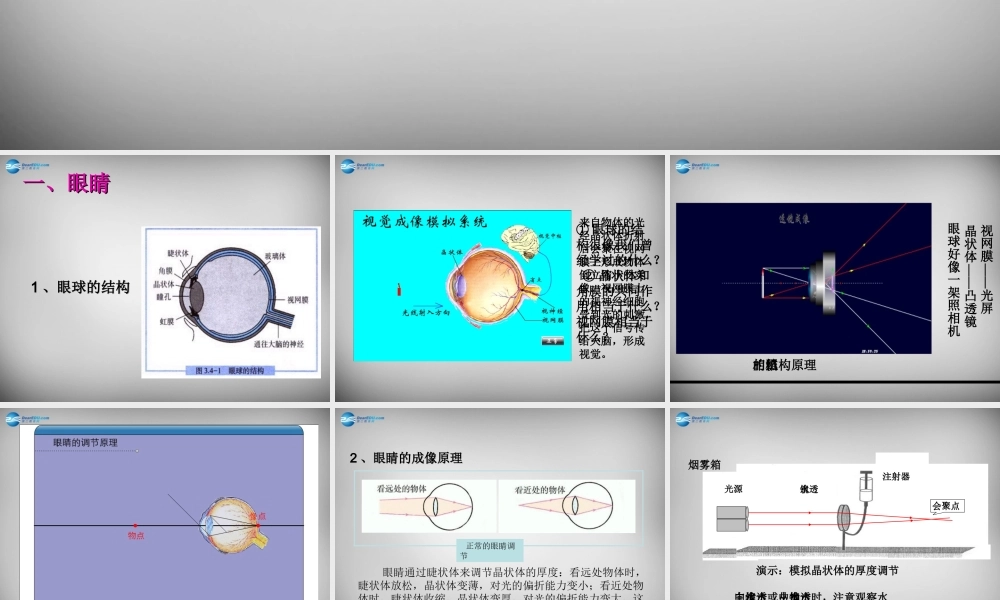 八年级物理上册 5.4 眼睛和眼镜课件2 (新版)新人教版 课件