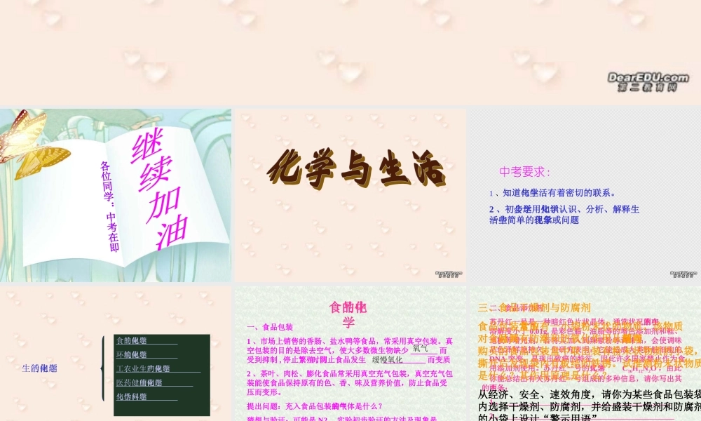 初三化学中考复习之化学与生活 人教版 试题