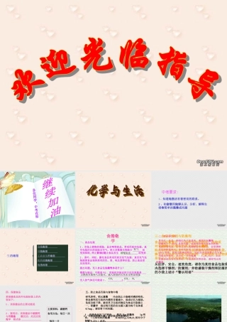 初三化学中考复习之化学与生活 人教版 试题