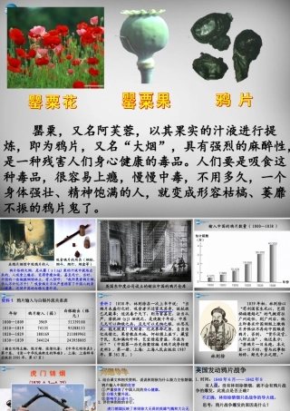 八年级历史与社会下册 8.1.1 鸦片战争的烽烟课件 人教版 课件