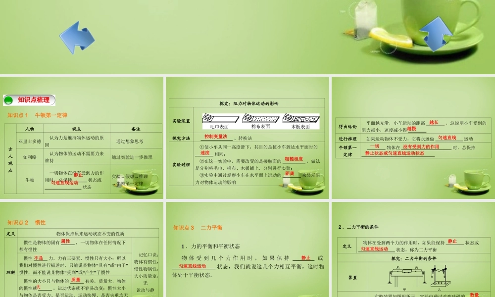 山东省泰安市岱岳区泰山菁华双语学校八年级物理下册 8 运动和力复习课件 (新版)新人教版 课件