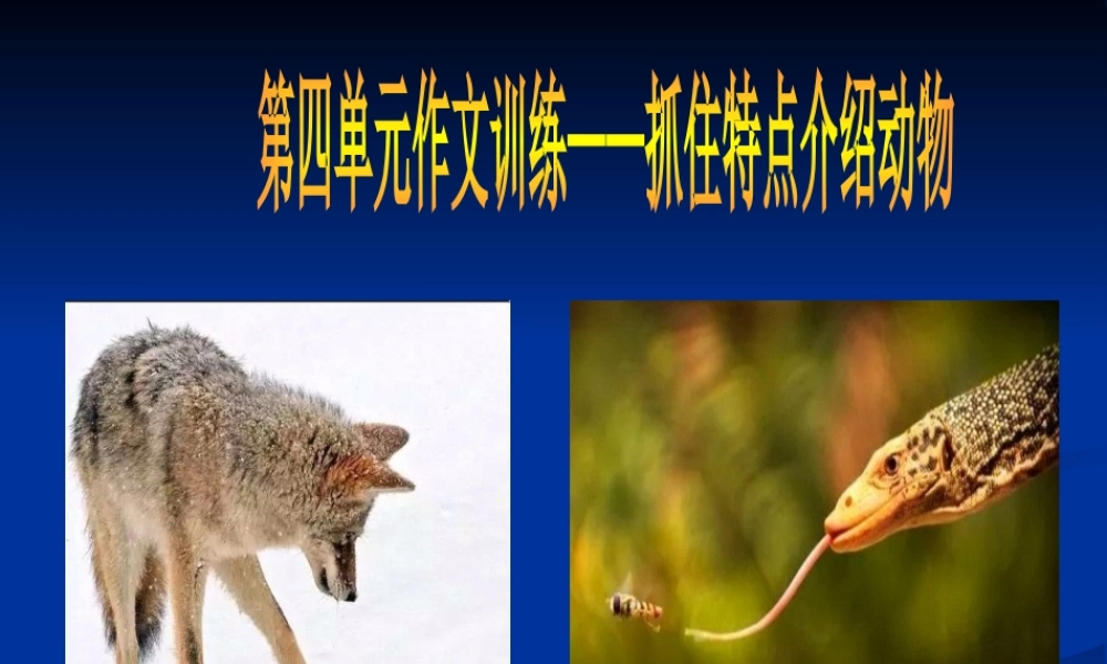 抓住特点介绍动物