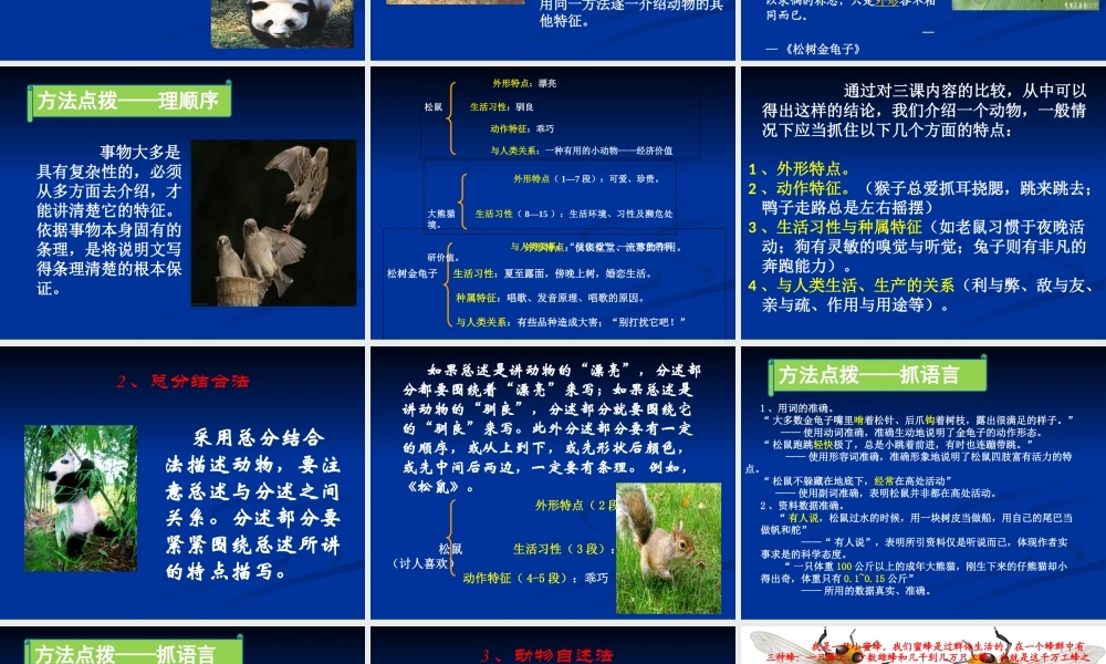 抓住特点介绍动物