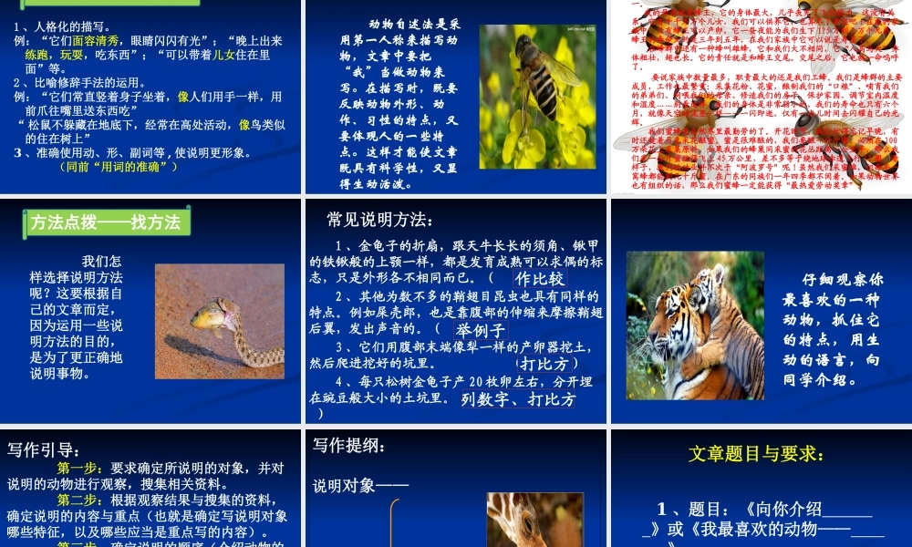 抓住特点介绍动物