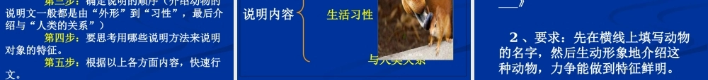 抓住特点介绍动物