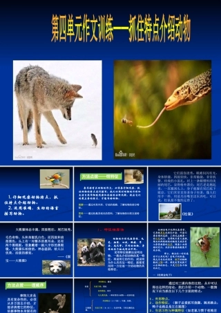 抓住特点介绍动物