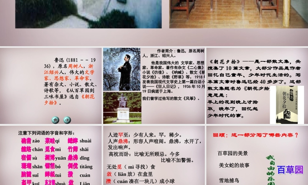 中学七年级语文下册(第一单元 第1课 从百草园到三味书屋)课件 新人教版 课件