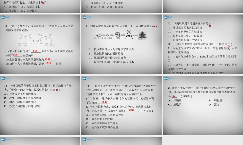 九年级科学下册 152 育种与优生习题课件 浙教版 课件