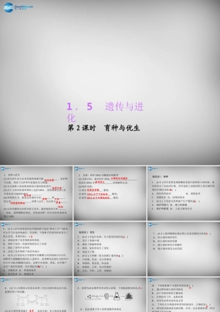 九年级科学下册 152 育种与优生习题课件 浙教版 课件
