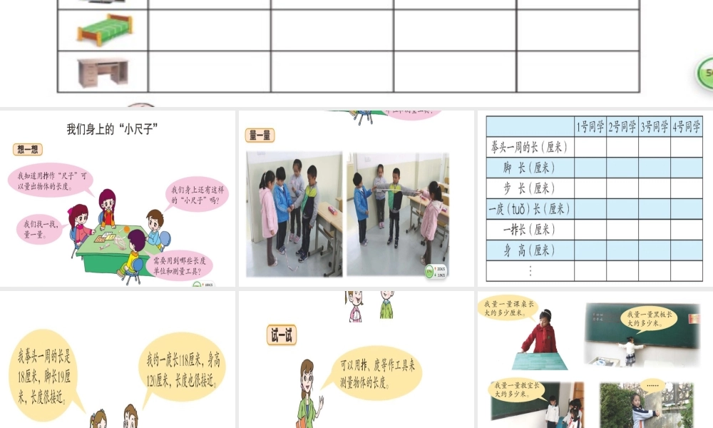 我们身体上的尺子课件