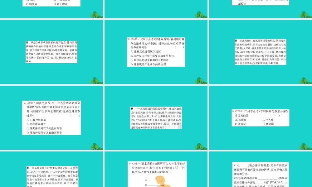 七年级生物下册 4.6.4 激素调节习题课件(新版)新人教版 课件