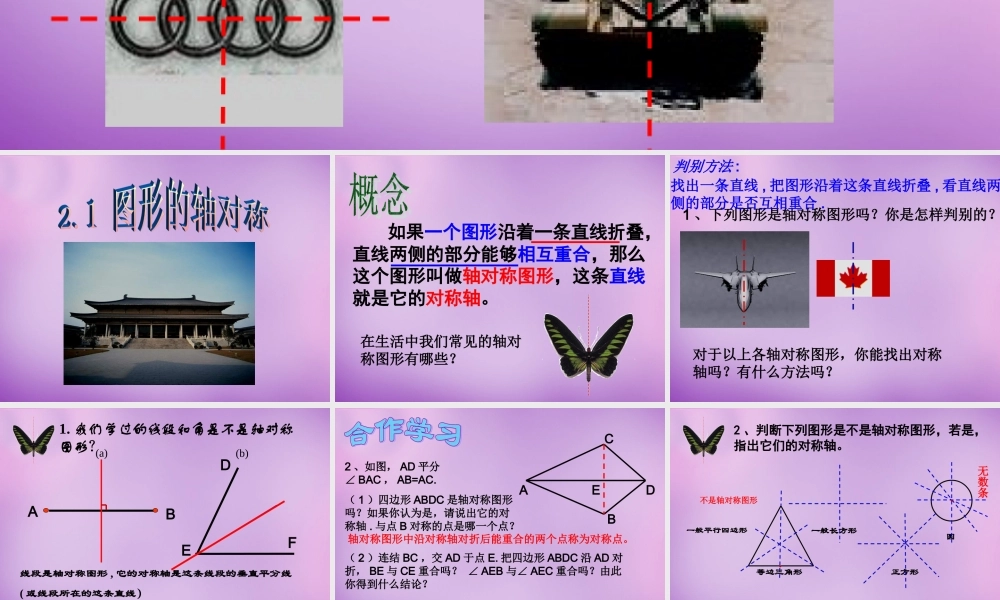 八年级数学上册 2.1 图形的轴对称课件 (新版)浙教版 课件