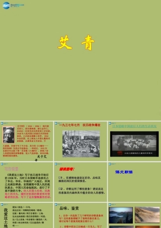 九年级语文下册 1(诗两首)我爱这土地课件1 新人教版 课件