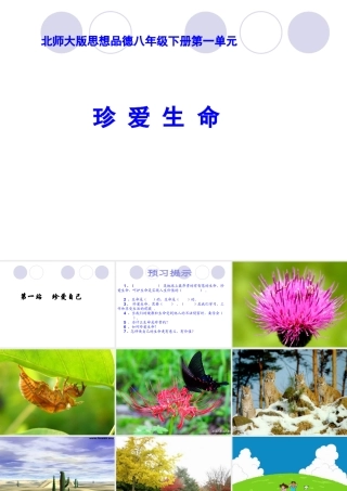 八年级政治下册 第一课(珍爱生命)第一站课件 北师大版  课件