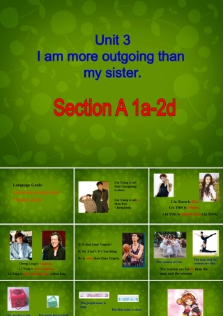 八年级英语上册 Unit 3 I am more outgoing than my sister Section A 1课件 (新版)人教新目标版 课件