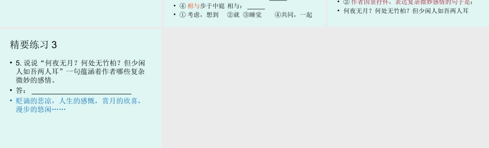 九年级语文6记承天寺夜游复习课件