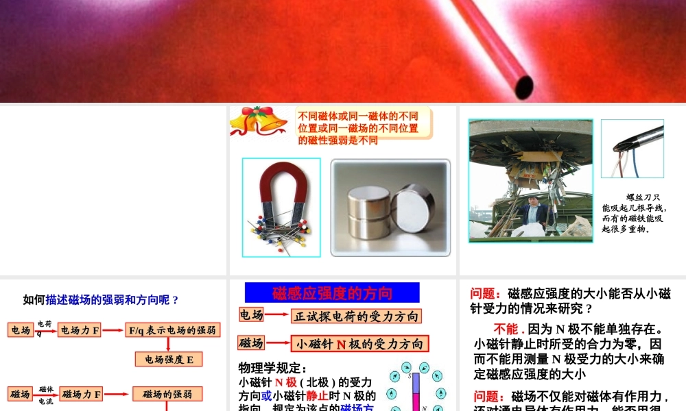 磁感应强度共张