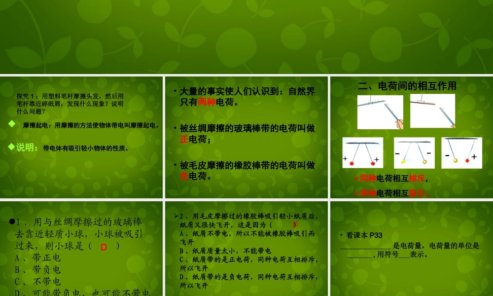 九年级物理全册 151 两种电荷课件1 (新版)新人教版 课件