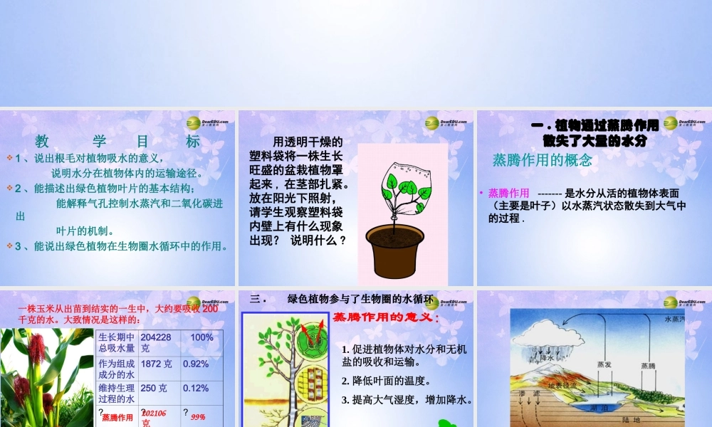 中学七年级生物上册 植物参与生物圈的水循环课件 新人教版 课件