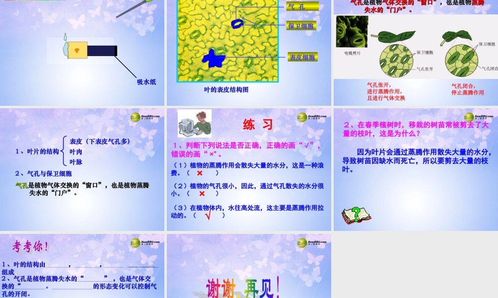 中学七年级生物上册 植物参与生物圈的水循环课件 新人教版 课件