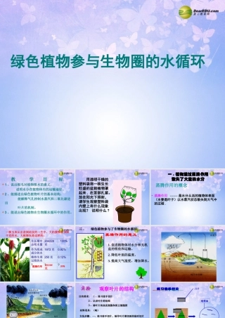 中学七年级生物上册 植物参与生物圈的水循环课件 新人教版 课件