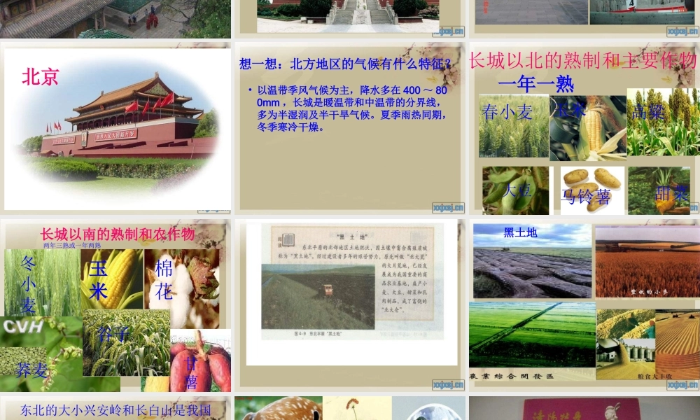 八年级地理下册 第五章 第一节 北方地区课件 (新版)湘教版 课件