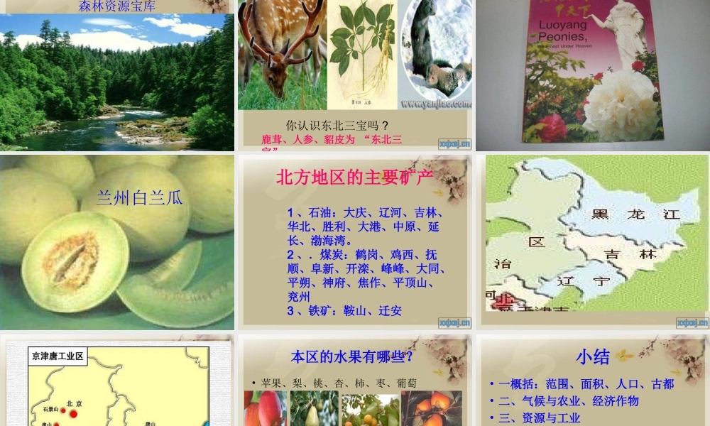 八年级地理下册 第五章 第一节 北方地区课件 (新版)湘教版 课件