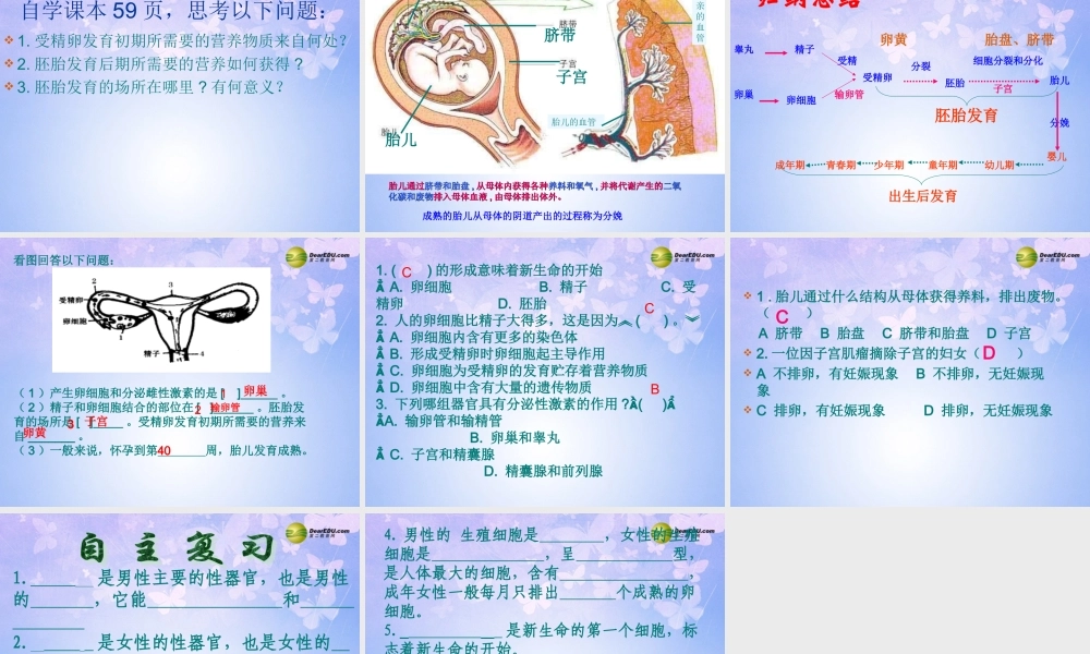 八年级生物上册 婴儿的诞生课件 济南版 课件