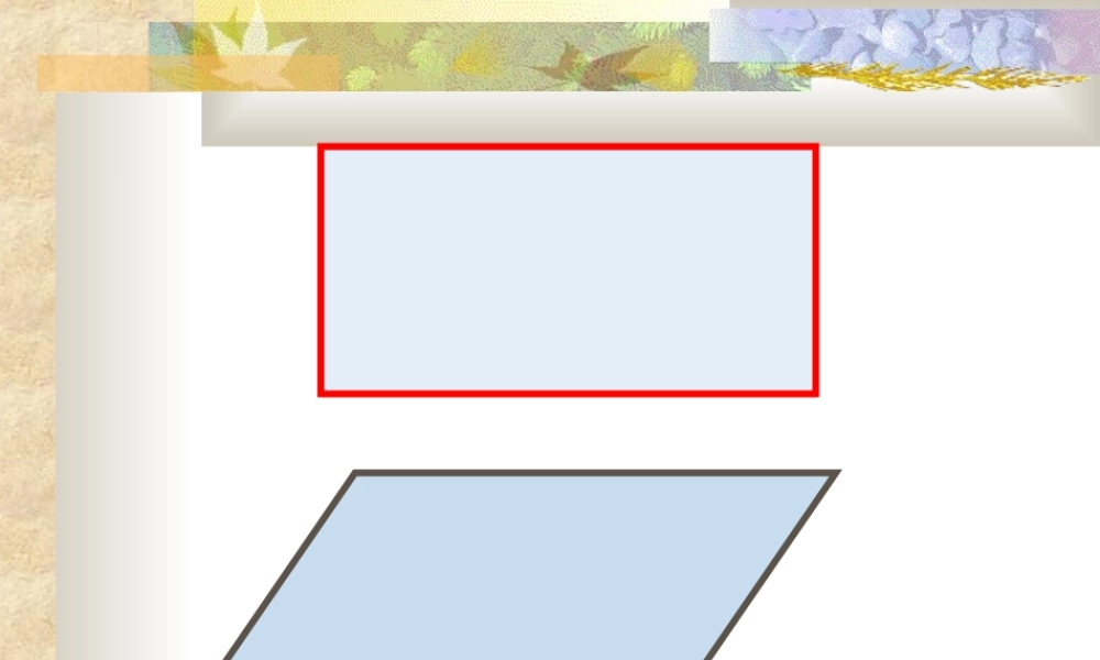 平行四边形的面积 (9)