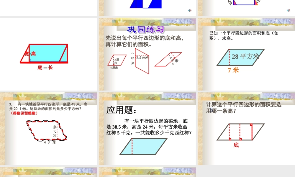 平行四边形的面积 (9)