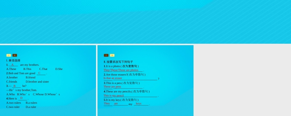 七年级英语上册 Unit 2 This is my sister语法课堂课件 (新版)人教新目标版 课件