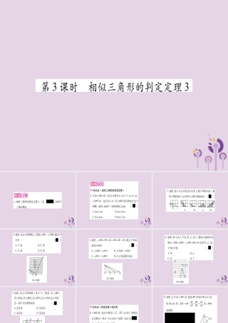 九年级数学上册 第23章 图形的相似 233 相似三角形 2332 相似三角形的判定 第3课时 作业课件 (新版)华东师大版 课件