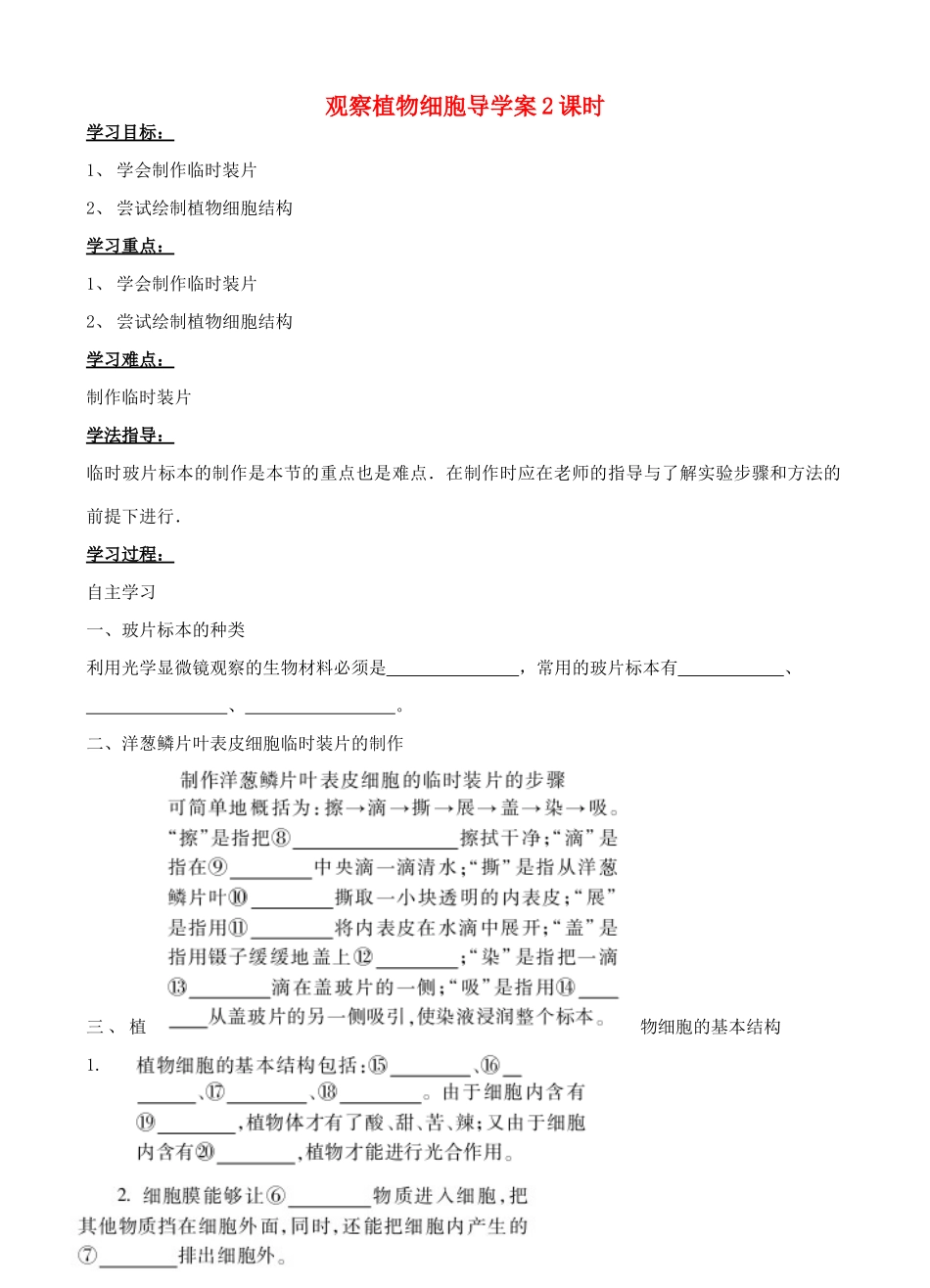 七年级生物上册 观察植物细胞第2课时课件导学案(无答案)  人教新课标版 课件_第1页