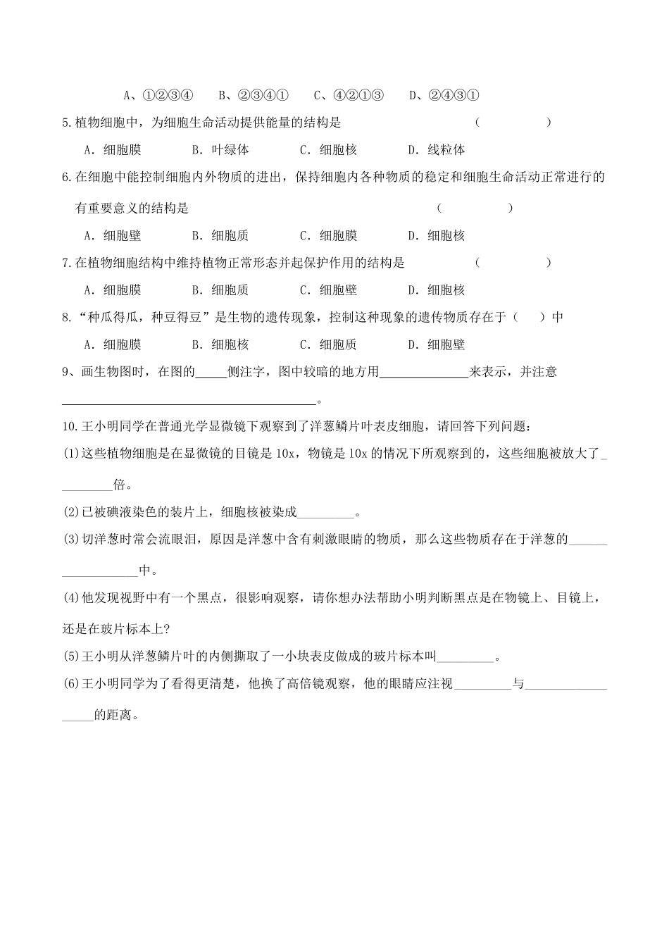 七年级生物上册 观察植物细胞第2课时课件导学案(无答案)  人教新课标版 课件_第3页