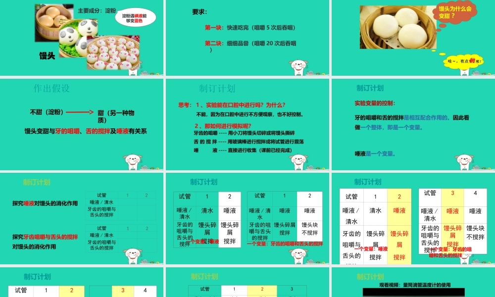 七年级生物下册 4.2.2(消化和吸收)馒头在口腔中的变化课件 (新版)新人教版 课件