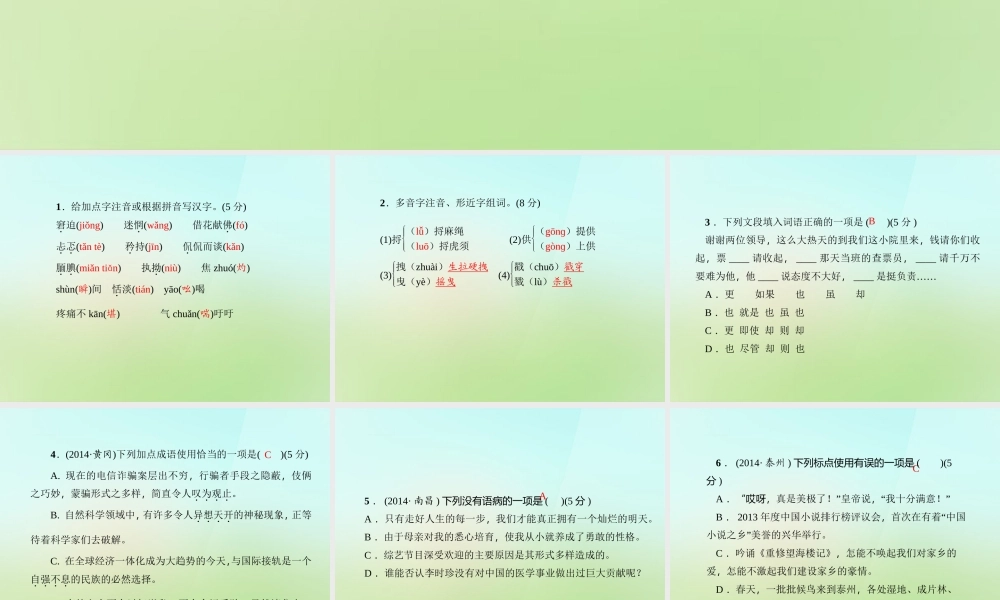 九年级语文上册 6一厘米习题课件 语文版 课件