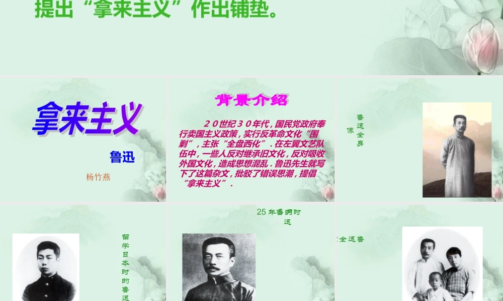 云南省德宏州梁河县一中高二语文(拿来主义)课件3 人教版 课件