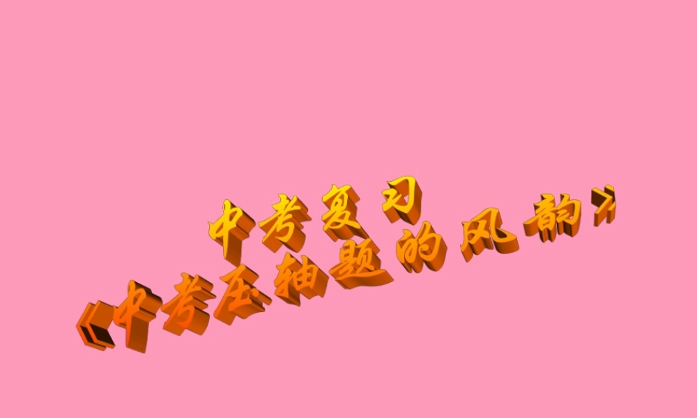 中考数学专题十中考压轴题 的风韵 试题
