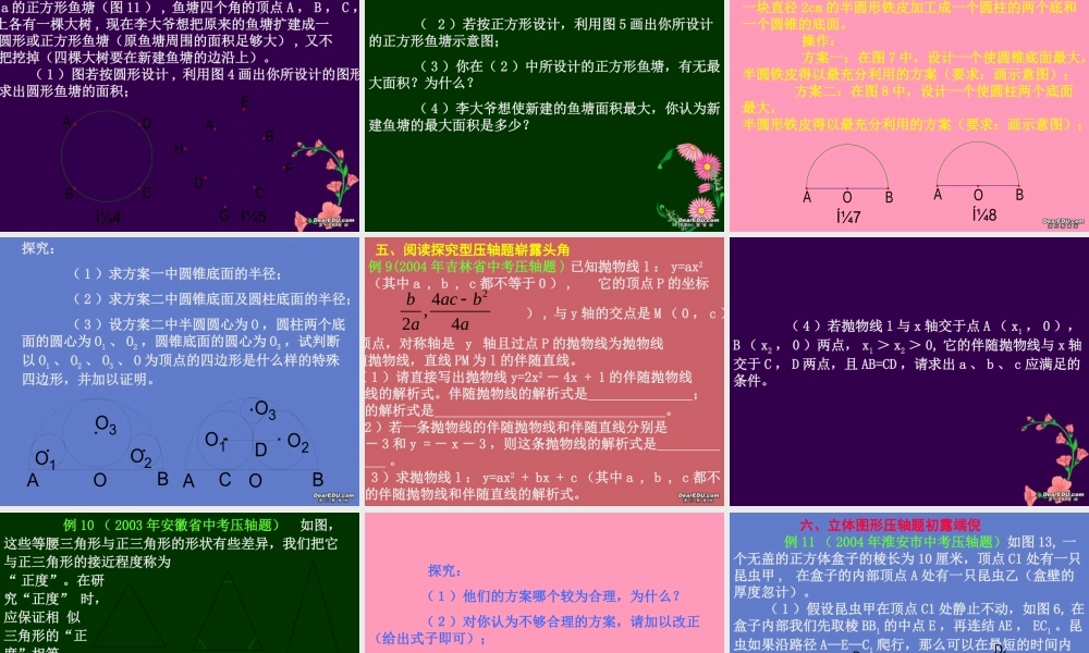 中考数学专题十中考压轴题 的风韵 试题