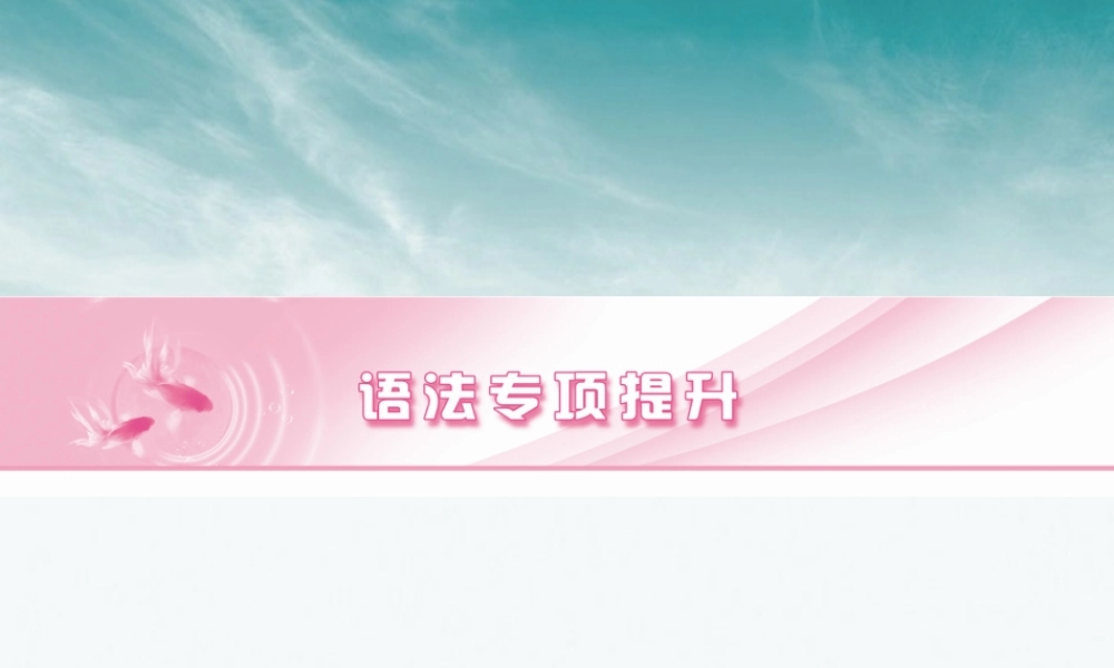 山东省高考英语总复习 语法专项提升名词课件 外研版 课件