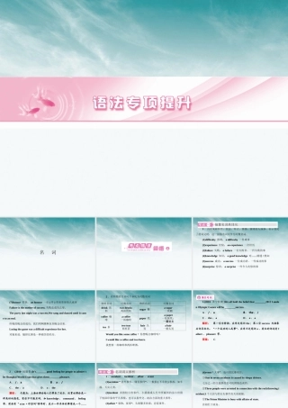 山东省高考英语总复习 语法专项提升名词课件 外研版 课件