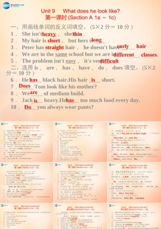 春七年级英语下册 Unit 9 What does he look like课件 (新版)人教新目标版 课件