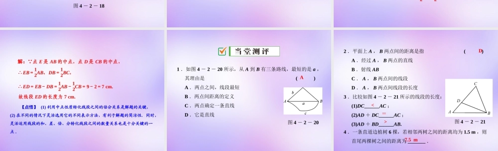 中学七年级数学上册 4.2 第3课时 线段的性质课件 (新版)新人教版 课件