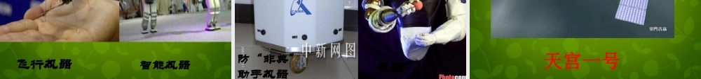 八年级语文上册 26 从小就要爱科学课件 苏教版 课件