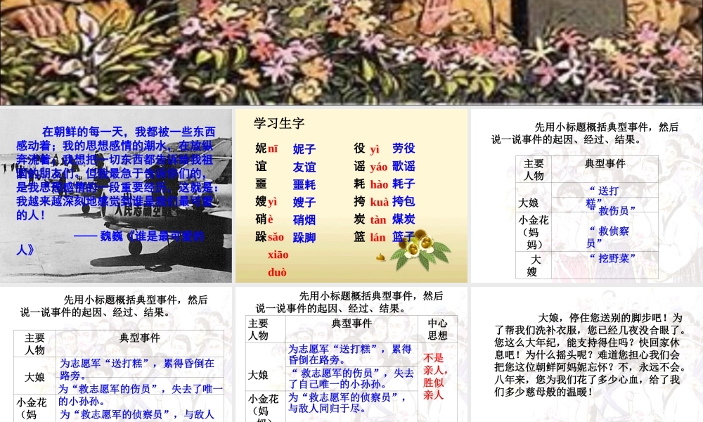 《再见了，亲人》教学课件2