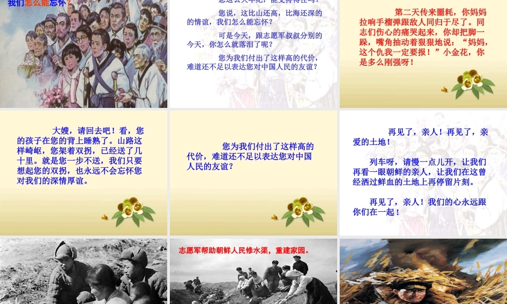《再见了，亲人》教学课件2